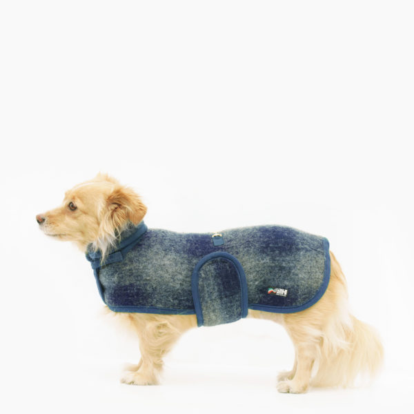 cappottino-in-lana-cane-blu