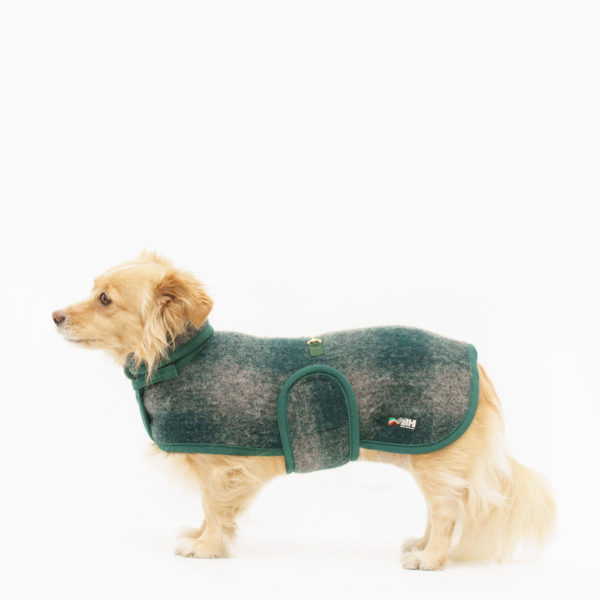 cappottino-in-lana-cane-verde