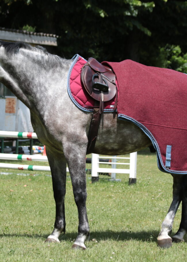 Coperta in Lana Cotta Pesante