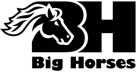 Big Horses