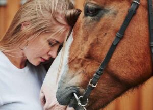 L’unione tra due esseri viventi con un unico cuore: il rapporto tra uomo e cavallo