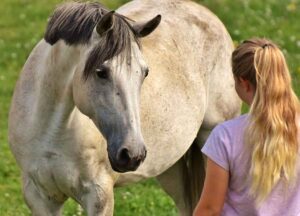 Capire il cavallo con il metodo di equitazione naturale Parelli