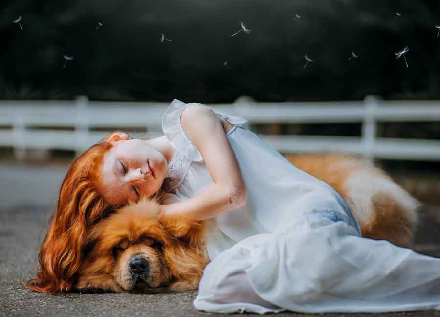 PERCHÉ DOVREMMO AVERE TUTTI UN ANIMALE DOMESTICO