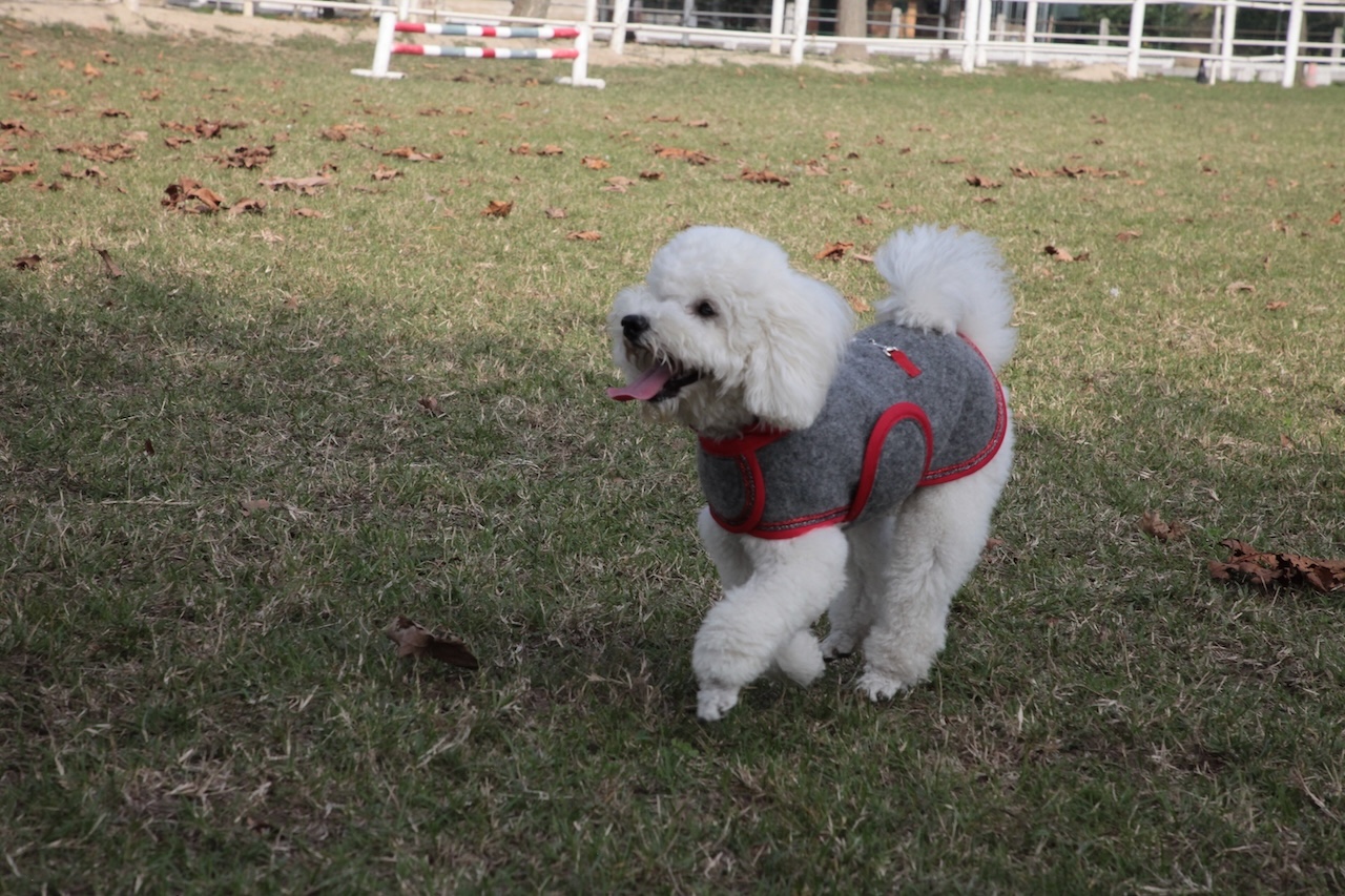 cap_lana cotta_amb_1