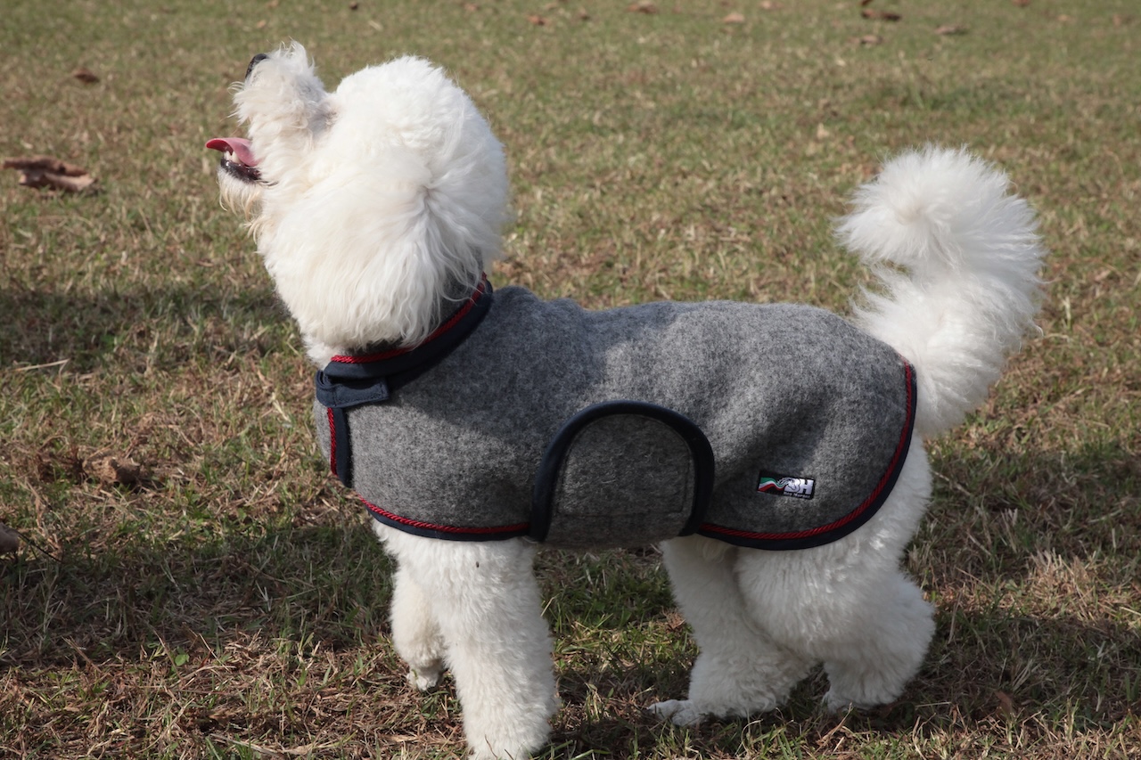 cap_lana cotta_amb_10