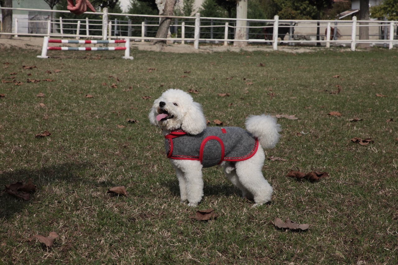 cap_lana cotta_amb_2