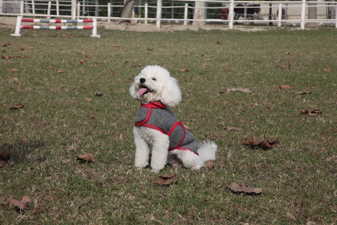 cap_lana cotta_amb_3