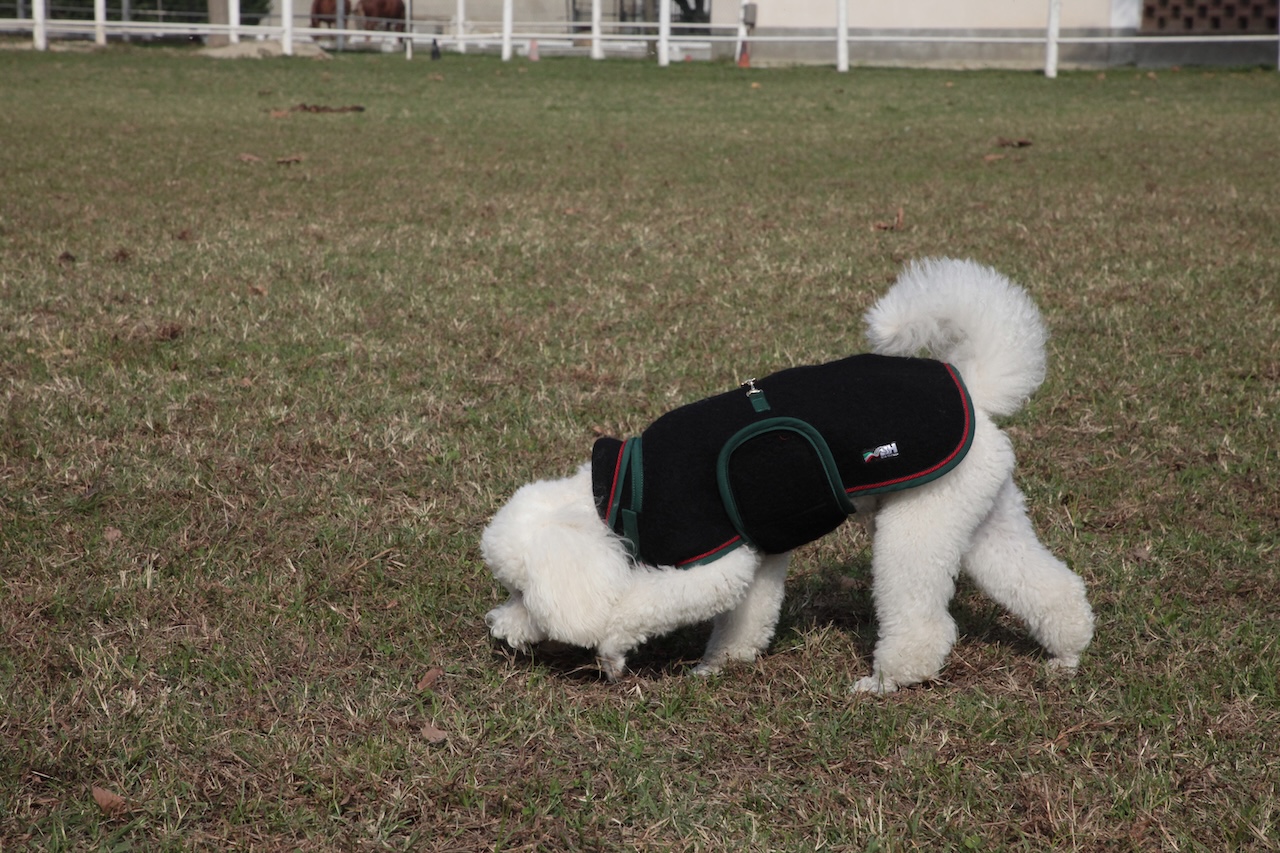 cap_lana cotta_amb_4