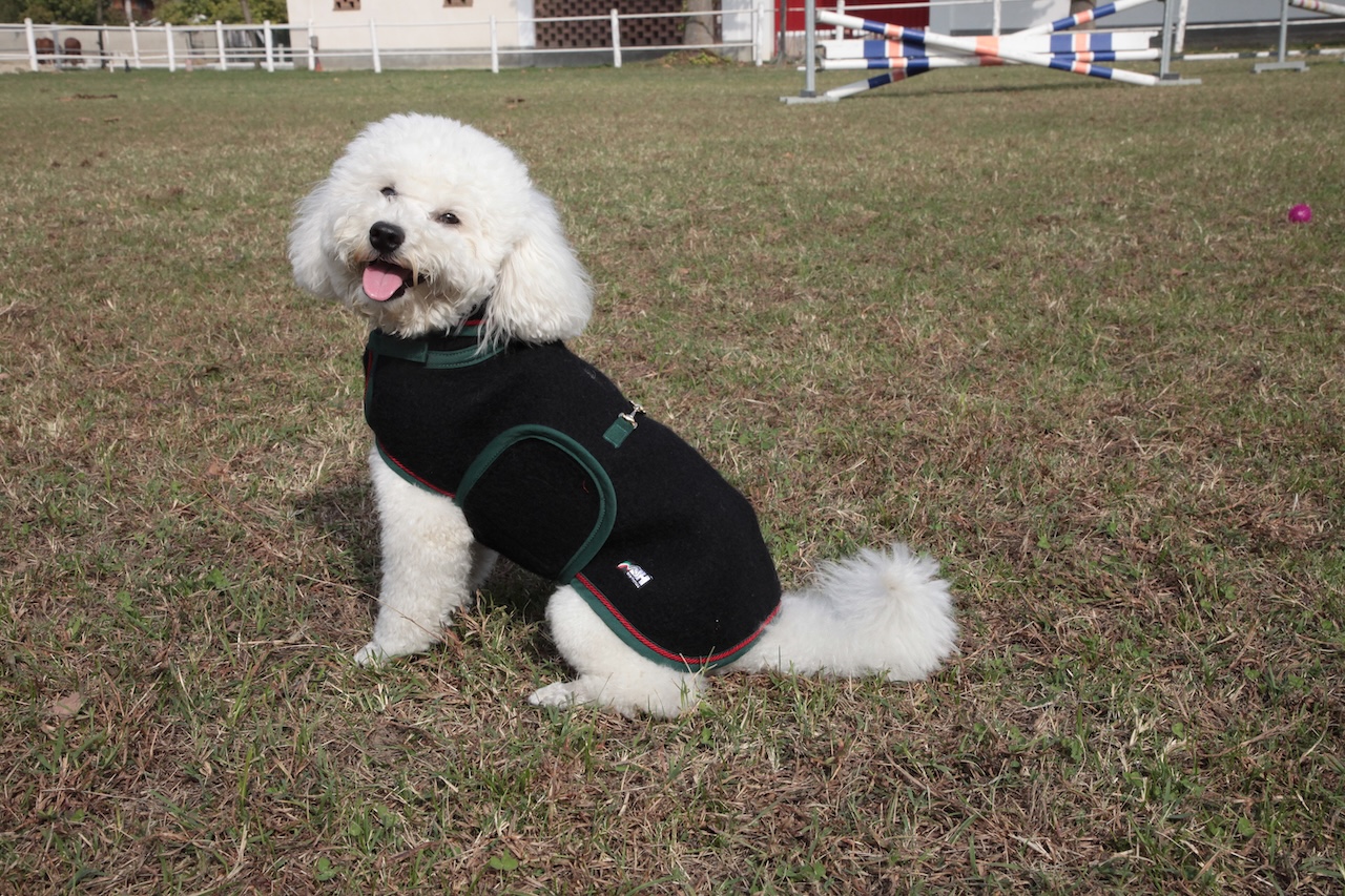 cap_lana cotta_amb_5