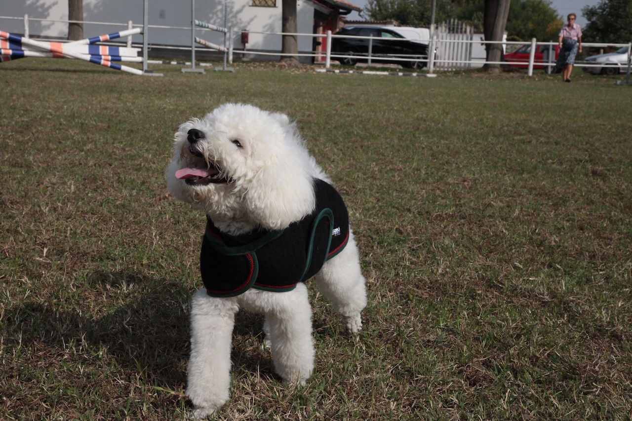 cap_lana cotta_amb_6