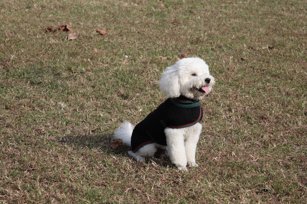 cap_lana cotta_amb_7