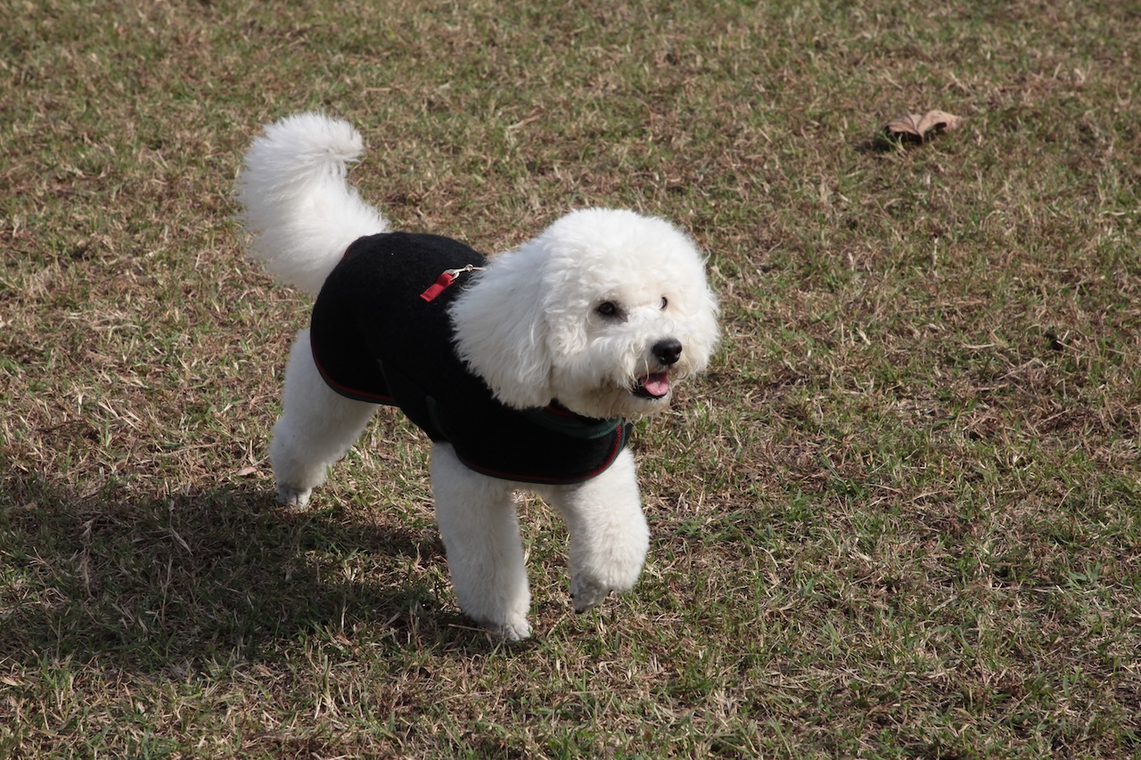 cap_lana cotta_amb_8