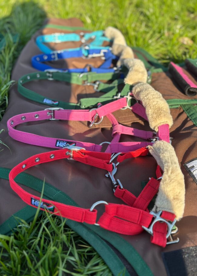 Capezza Musy Care per Mini Pony