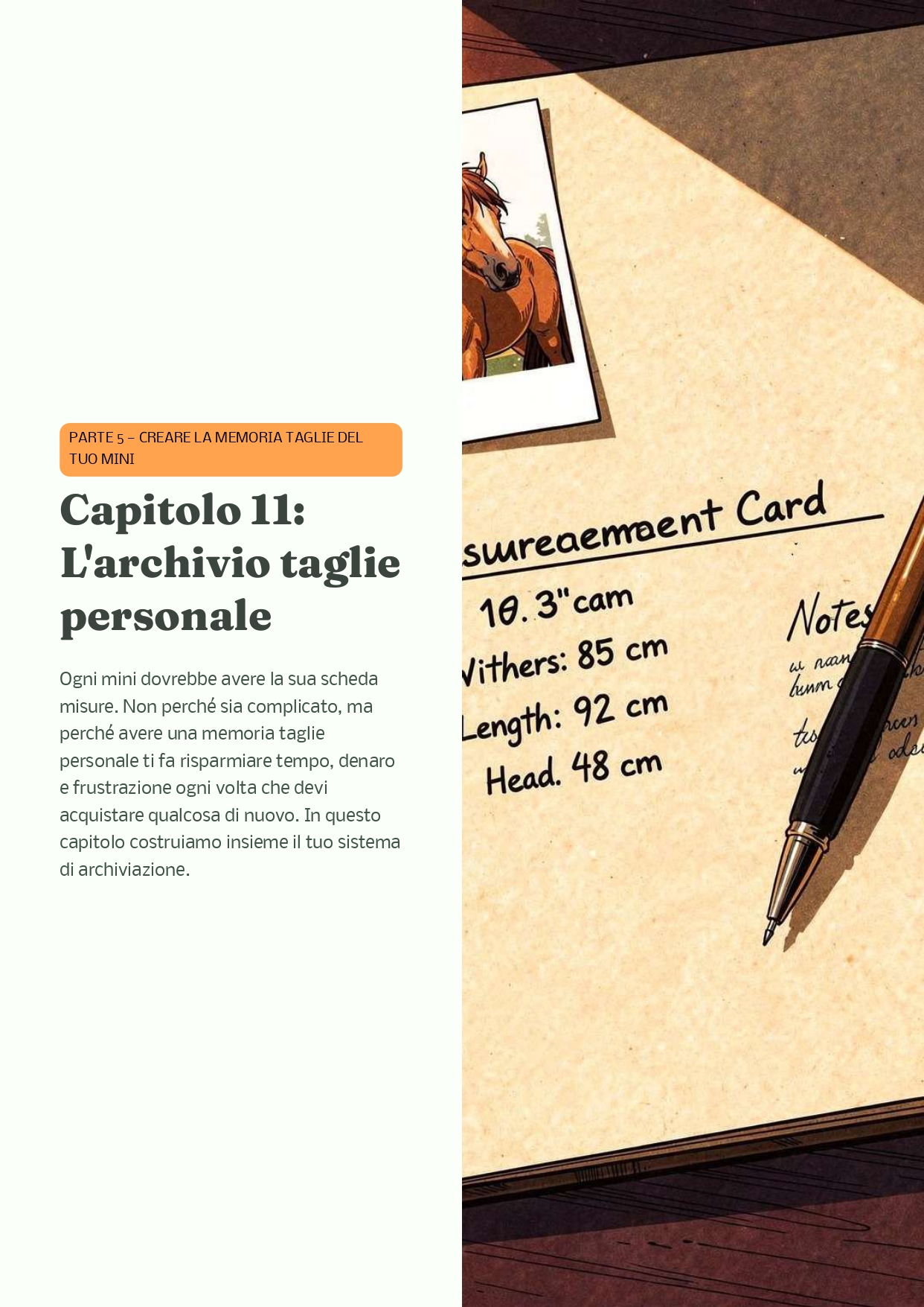 Mini-Fit-Kit-360_pages-to-jpg-0038